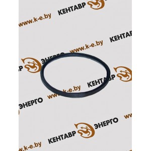 Уплотнительное кольцо Ду 110