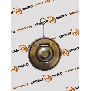 Клапан обратный межфланцевый Ду  80 Ру 16